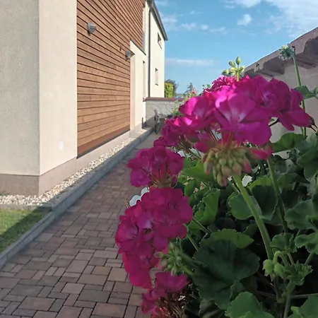 Ubytovani Na Vinici Valtice Exterior photo