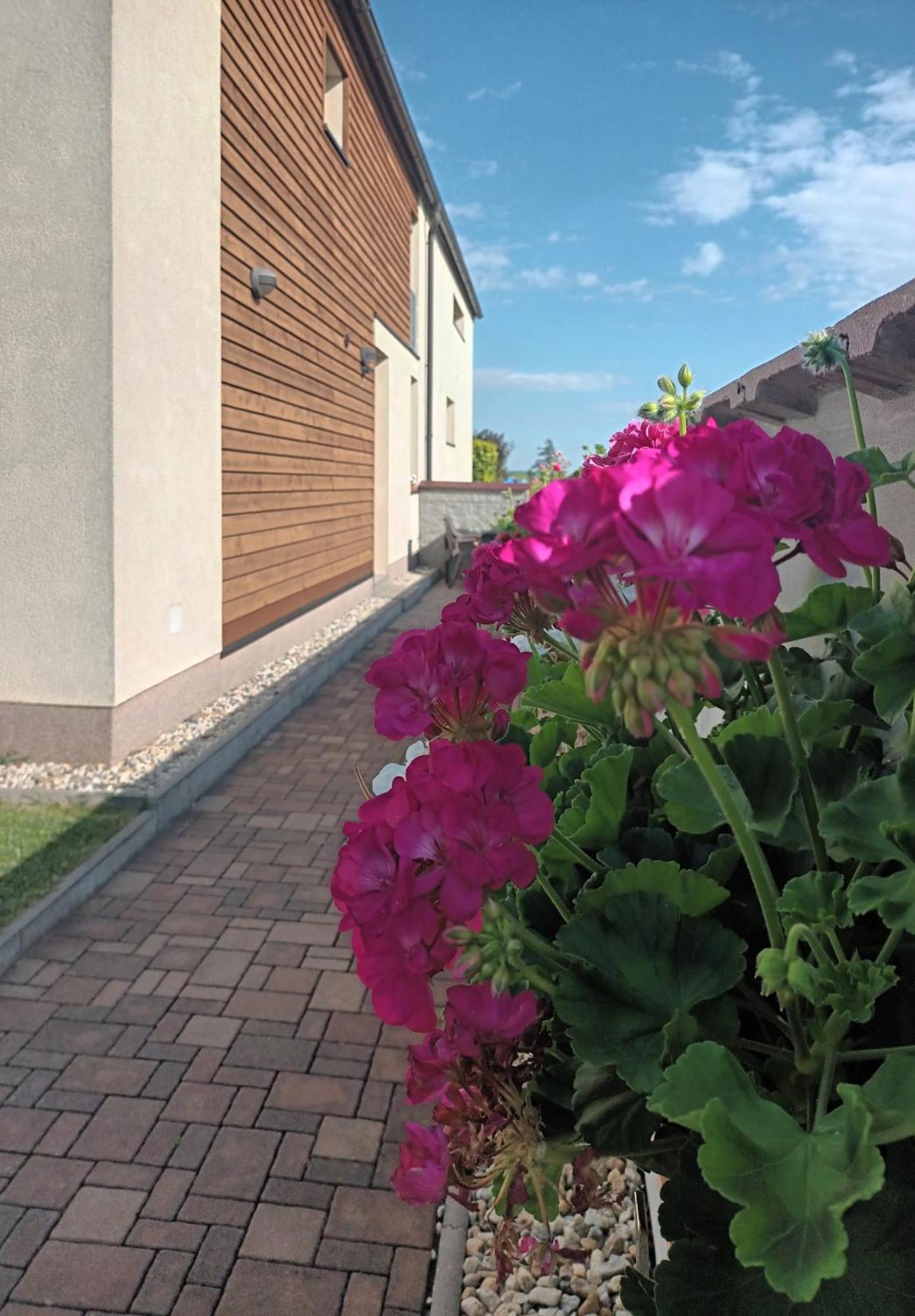 Homestay Ubytovani Na Vinici *