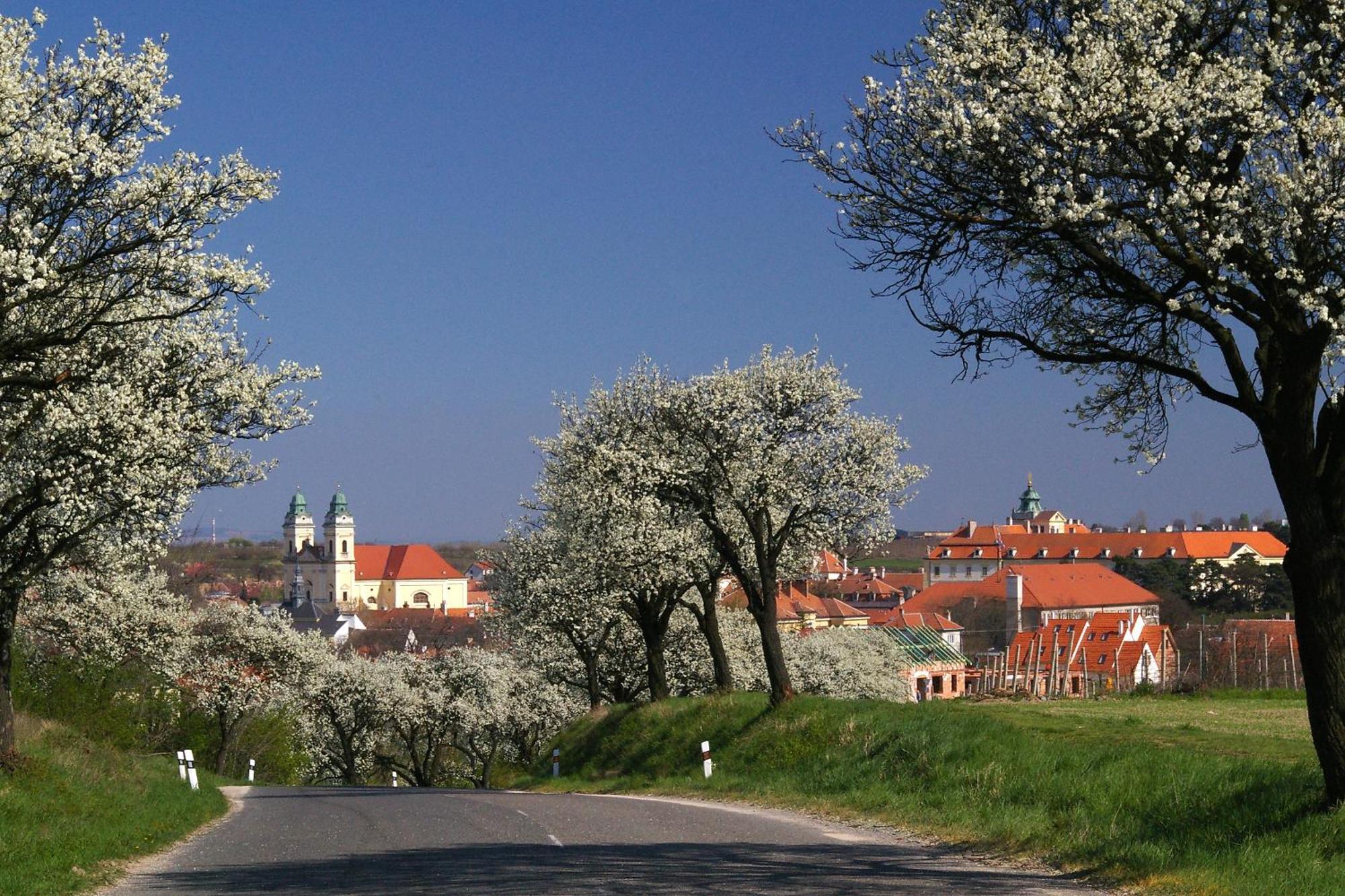 Ubytovani Na Vinici