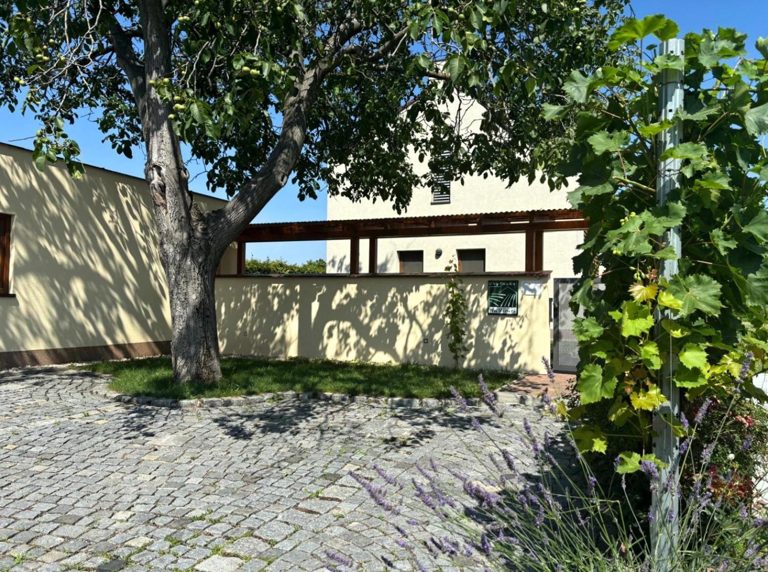 Ubytovani Na Vinici Homestay